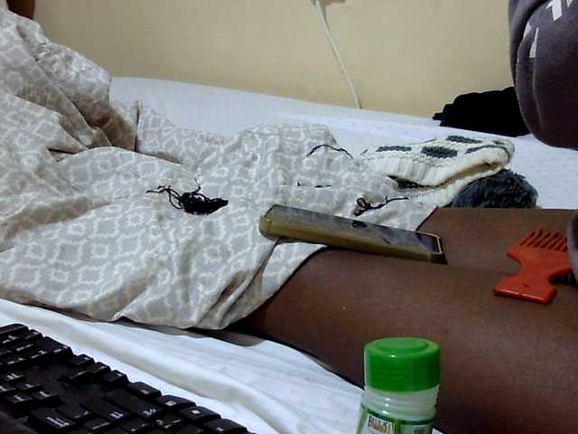 Preview of miss-beauty