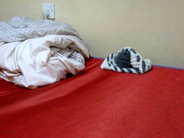 Miss-beauty's BongaCams show and profile