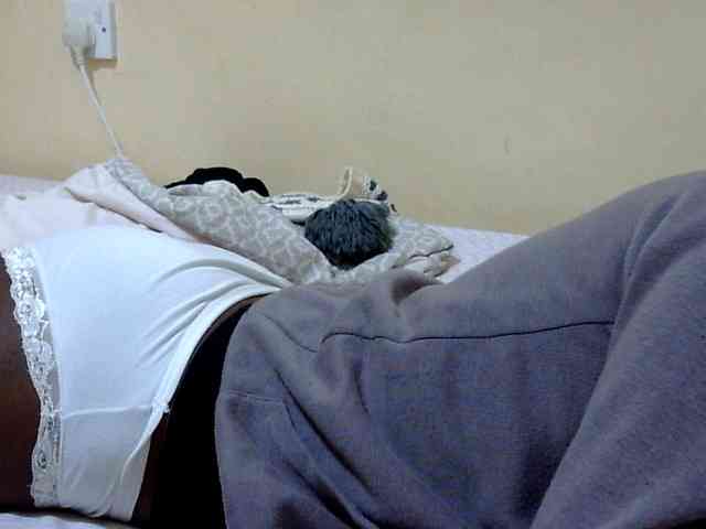 Miss-beauty Miss-beauty