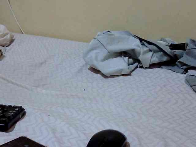 Miss-beauty Miss-beauty