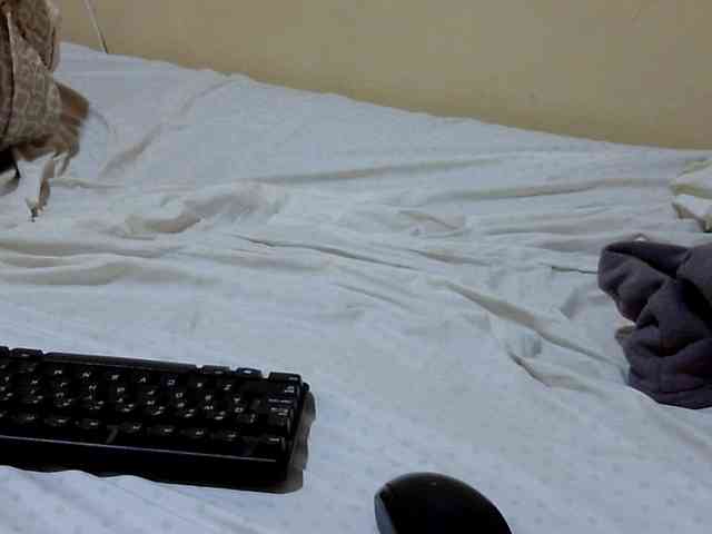 Miss-beauty Miss-beauty