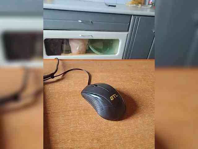 Mr-and-Mrs webcam