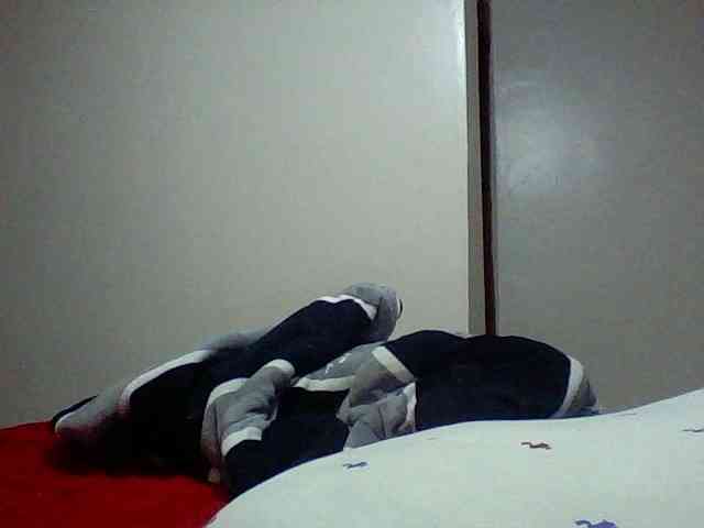 Neshik webcam