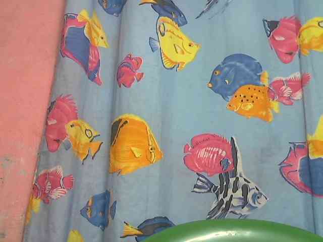 Elizahhh webcam