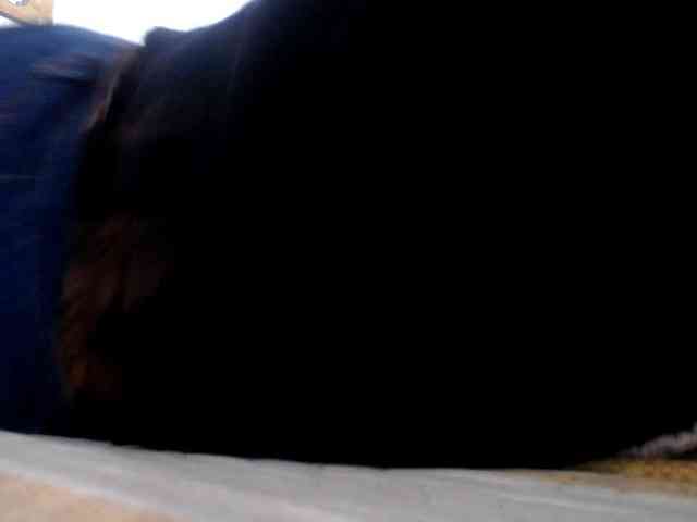 maturehornykinky webcam