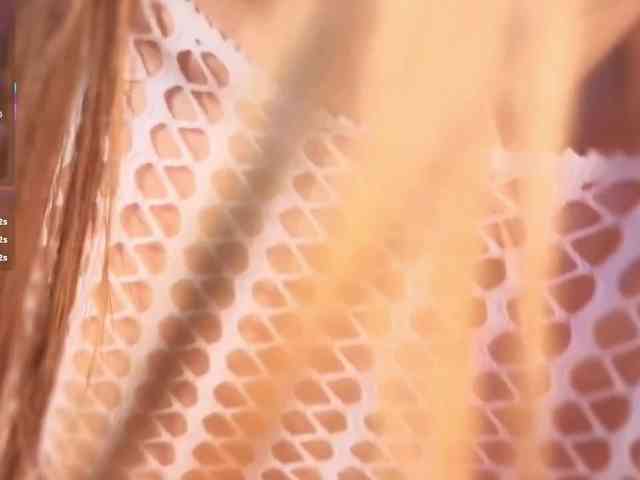 Criistal webcam