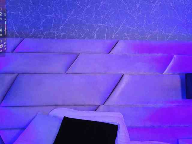 Criistal webcam