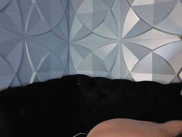 Criistal webcam