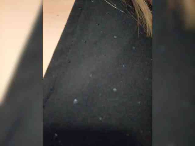 EmmaSanches webcam