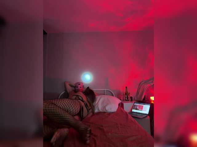 dimasikpivasik streaming now