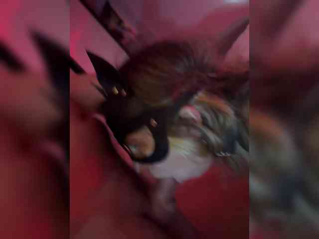 dimasikpivasik webcam