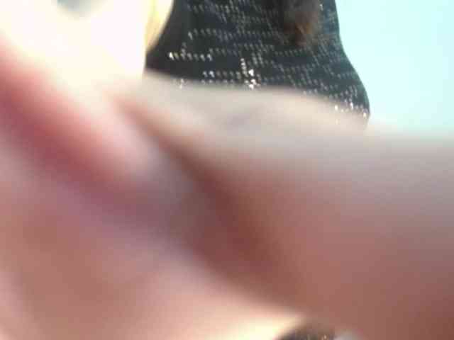 AmaraMoon- AmaraMoon-