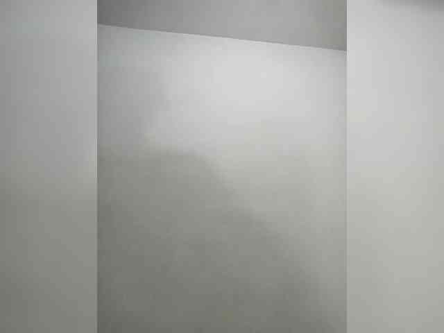Melisager webcam