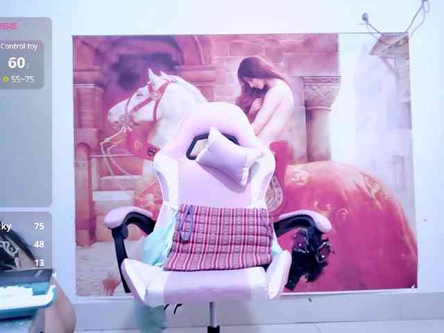alinmeng webcam