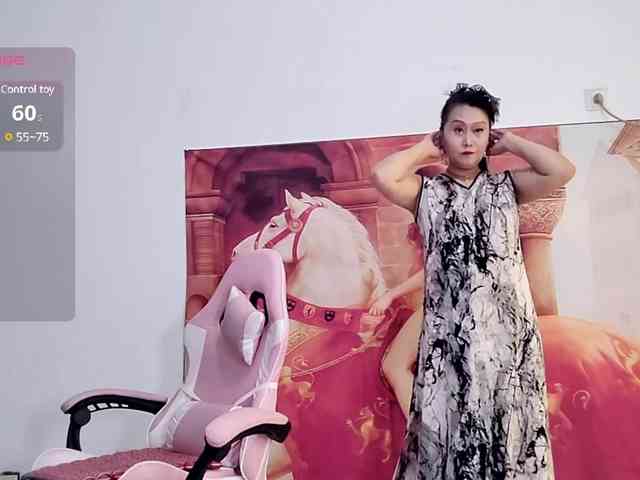 alinmeng webcam