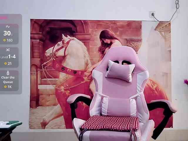 alinmeng webcam