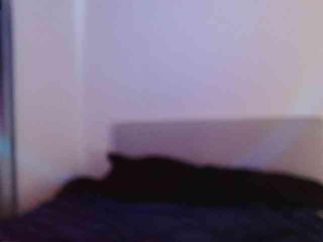 KattyCat webcam