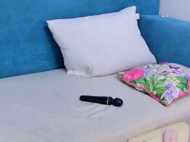 moon-cake webcam