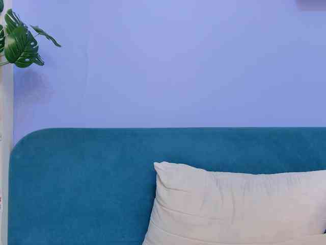 moon-cake webcam