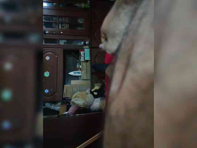 Hazim3