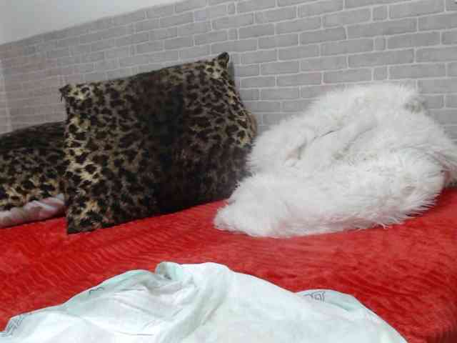 sweetmaju webcam
