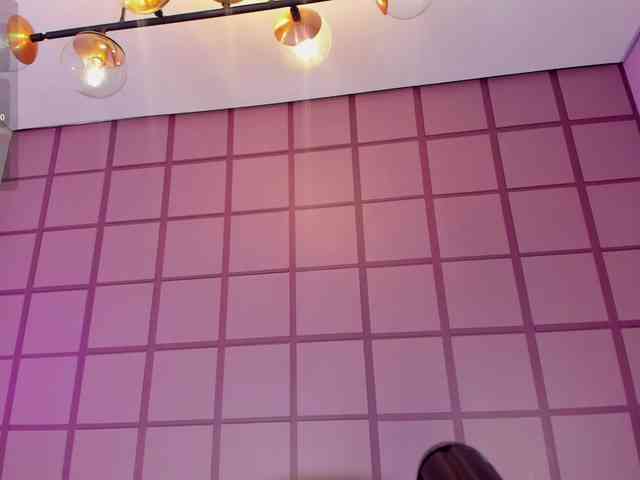 Jhulimonroe webcam