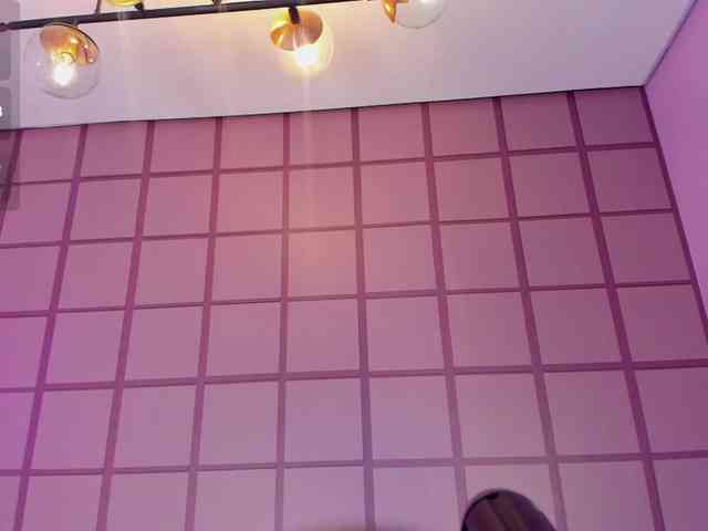 Jhulimonroe webcam