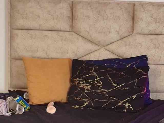 shalomFox webcam