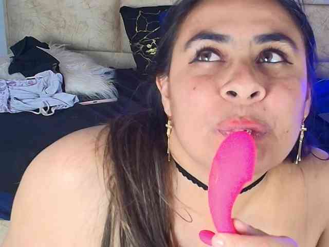 shalomFox