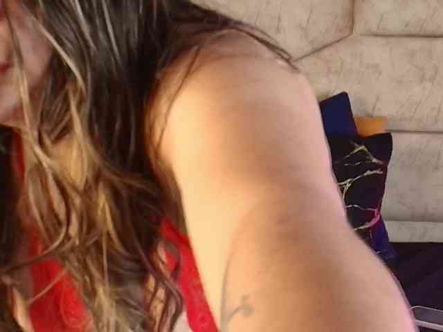 shalomFox webcam