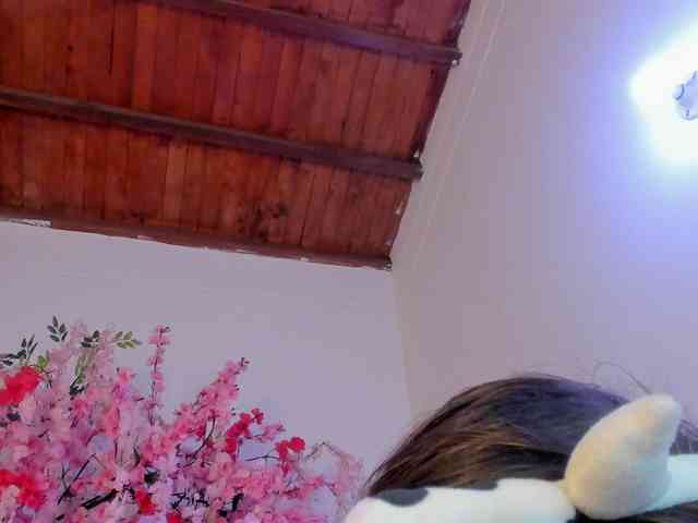 violet-evergarden2 webcam