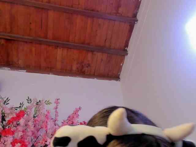 violet-evergarden2 webcam