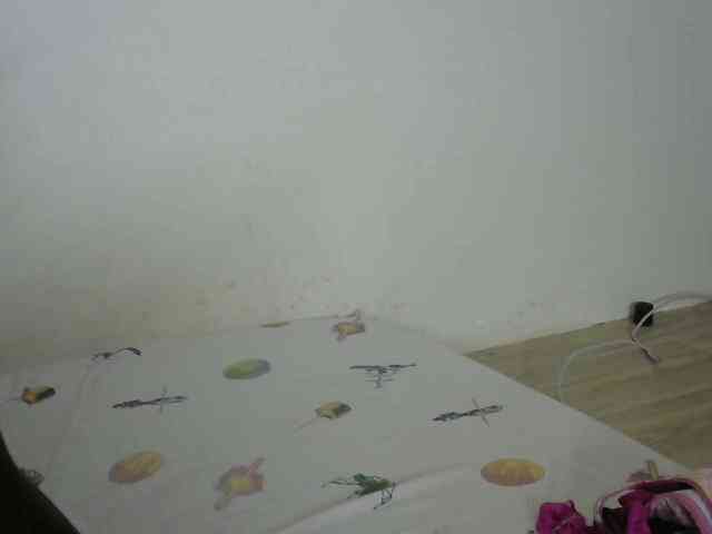 NastyMa1 webcam