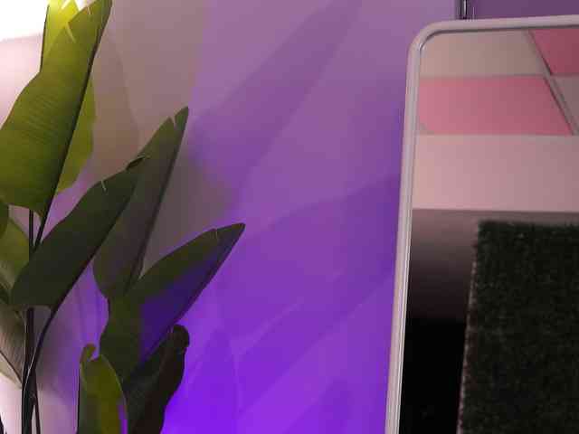 DiannaDior webcam