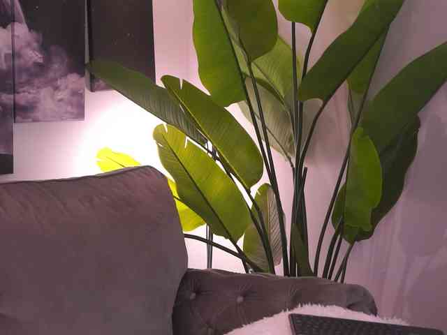 DiannaDior webcam