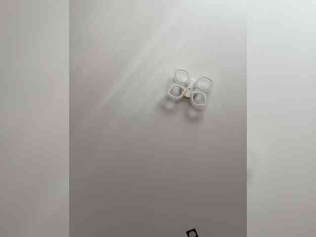 Kisa-551 webcam