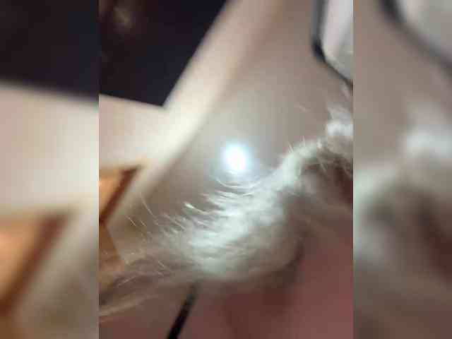 Alesiya webcam