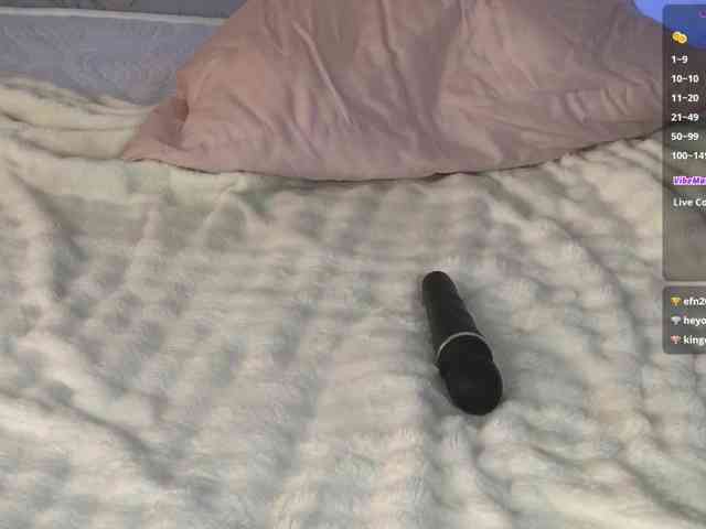Marlenbrion webcam