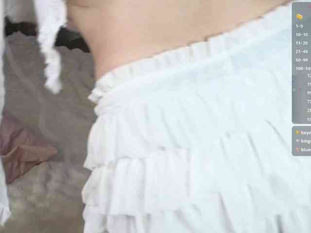 Marlenbrion webcam