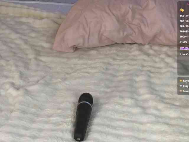 Marlenbrion webcam