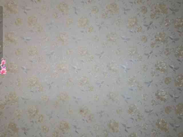 Marlenbrion webcam