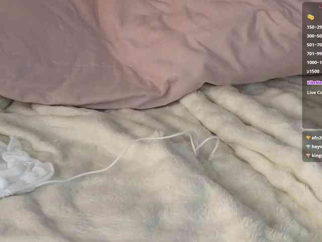 Marlenbrion webcam
