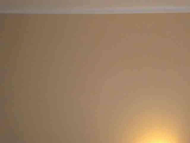 Marlenbrion webcam
