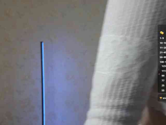 Marlenbrion webcam
