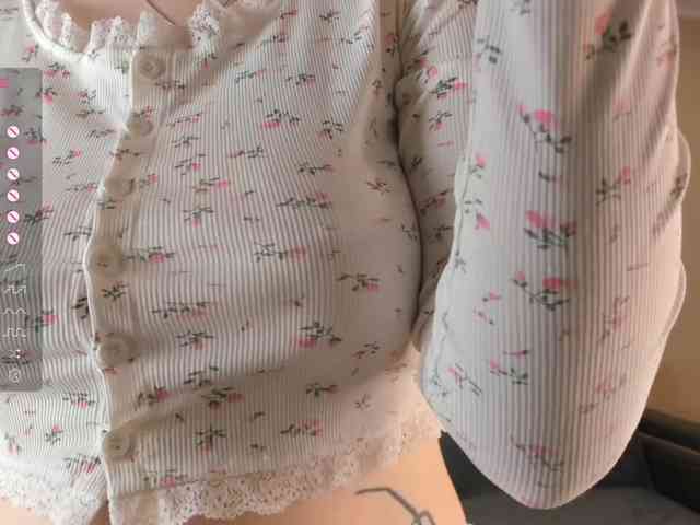 Marlenbrion webcam