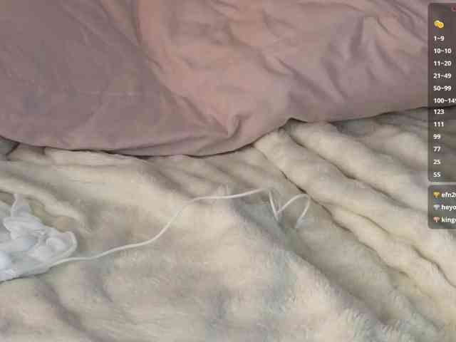 Marlenbrion webcam
