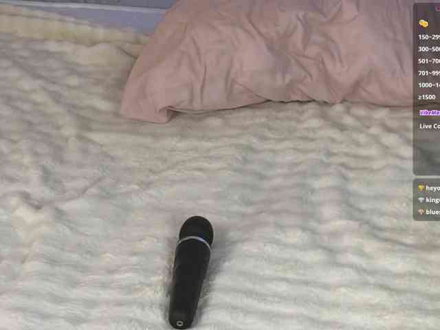 Marlenbrion webcam