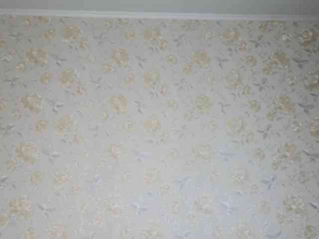 Marlenbrion webcam