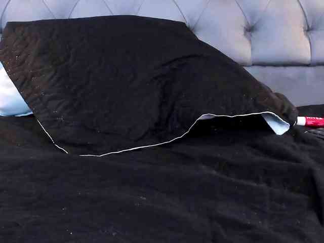 AlexaMora webcam