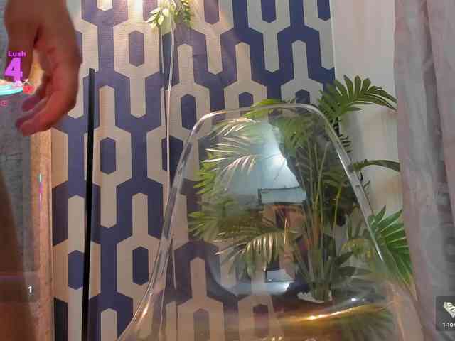Jadde-Shine webcam